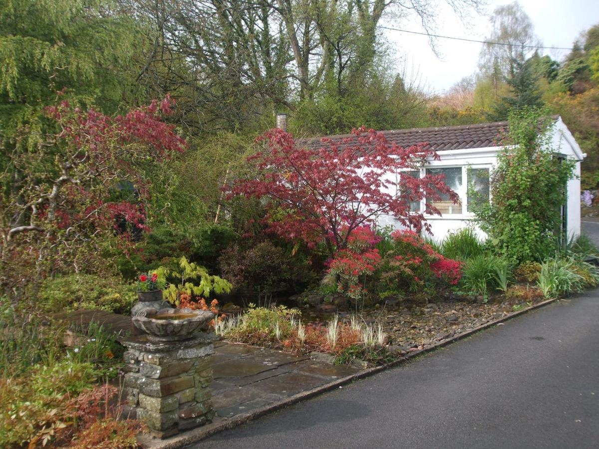Cwmbach Guest House Neath Buitenkant foto