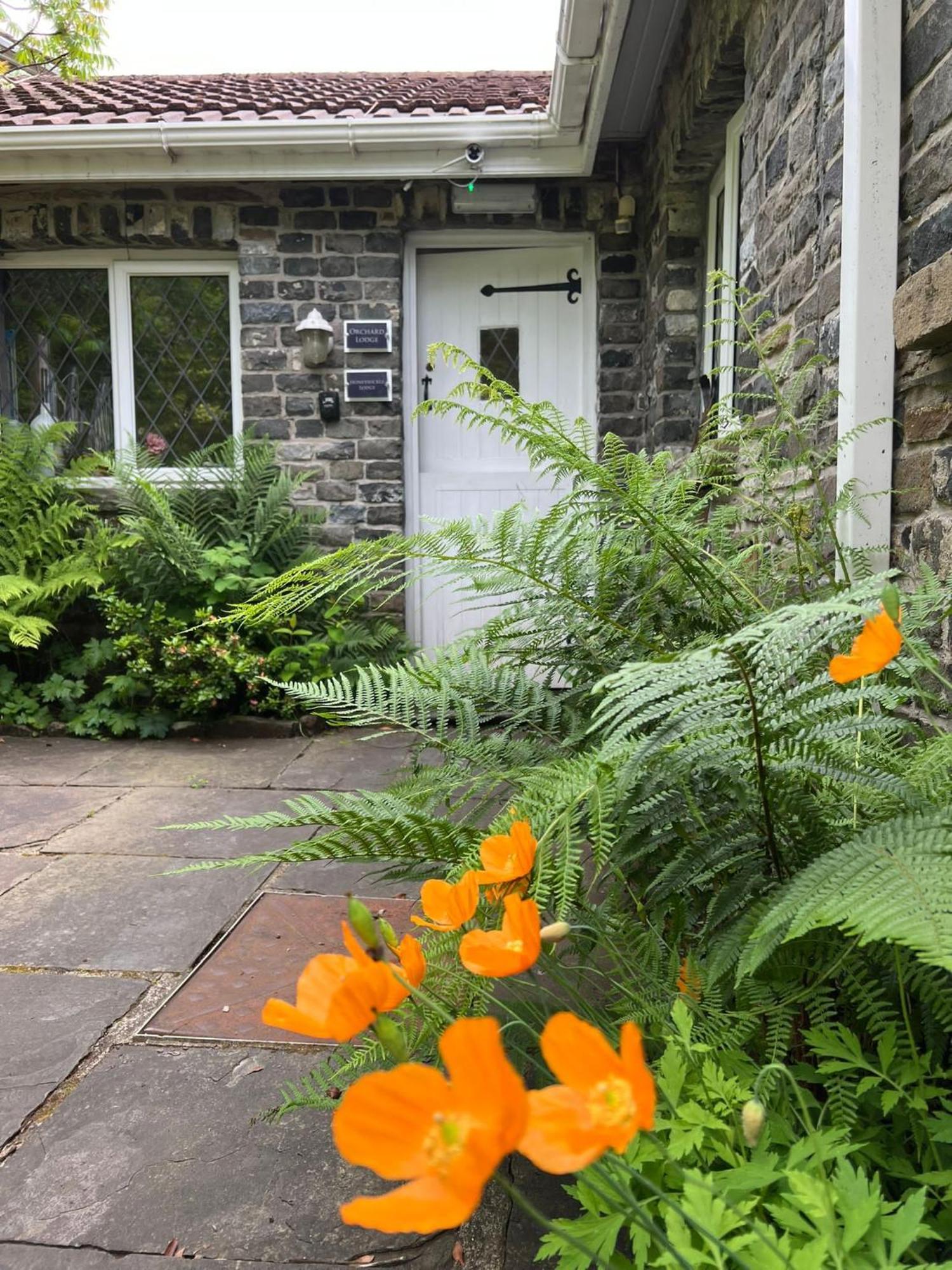 Cwmbach Guest House Neath Buitenkant foto