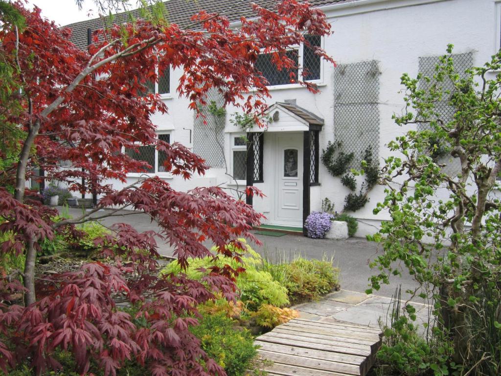 Cwmbach Guest House Neath Buitenkant foto